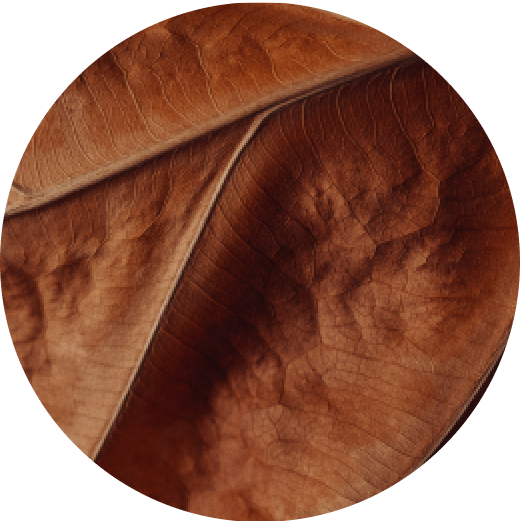 VEEV ONE Classic Tobacco e-liquid pod